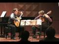 videos de Castelnuovo-Tedesco Concerto for Two Guitars Op. 201