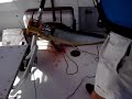 dorade