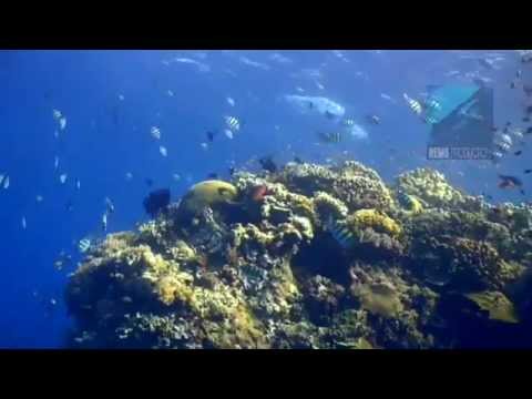 See video