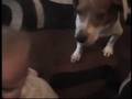 Joey and Buddy part 2