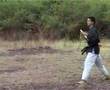 Matayoshi Kobudo kama kata Kohbu Nicho Gama