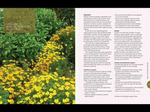 how to harvest vietnamese mint