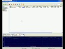 Utorrent Download Speed Record!! by INFEXIS