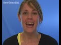 New Scientist video round-up - May 2, 2008 New Scientist video round-up - May 2, 2008