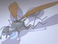 Wasp vs Spider 2007 Capstone Presentation