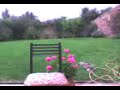 paul gilbert - get out of my yard - arpeggios BY CAPONE ( juan pedro mendoza ) screen 2