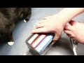 The Unboxing of all the Hardcover books in The Hunger Games Trilogy.