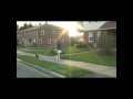Sesame, the dog walking cat