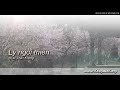 Lý ngồi thiền - nhạc&lời Chân Không