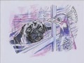 The Pug and The Peacock - an ACEO WIP The Pug and The Peacock - an ACEO WIP