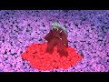 inuyasha,Kanketsu-hen,