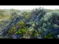 CAYO LARGO -Туры на Кубу от JOY Travel Group