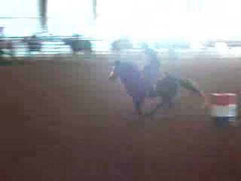 Lobo Louie Barrel Racing