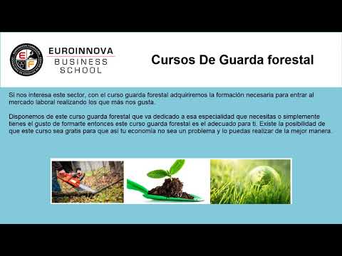 Cursos Youtube Online Euroinnova Cursos Youtube Online Euroinnova