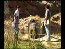 Guarda video