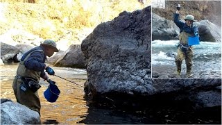 御岳渓谷のでっかいカジカを狙う!!美味しい骨酒になりました