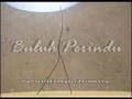 API Buluh Perindu 2007