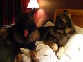 Keys and Zeus