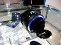 The \"Rolly\" portable robot speaker