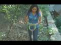 Garden Girl TV: Cold Hardy Banana Tree