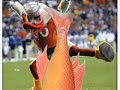 quack quack TAILSMACK
