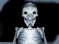 webcam avatar