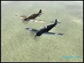 navy airforce