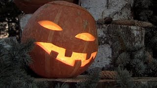 Strašidelná stezka