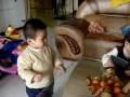 18 Months - MOV03534