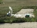 Shooting soda with Airsoft AK74