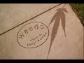 Regina Spektor singing for Weeds