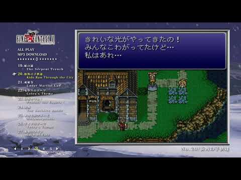 動画