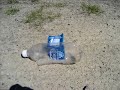 Dry ice bomb potato gun