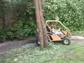 Buggy