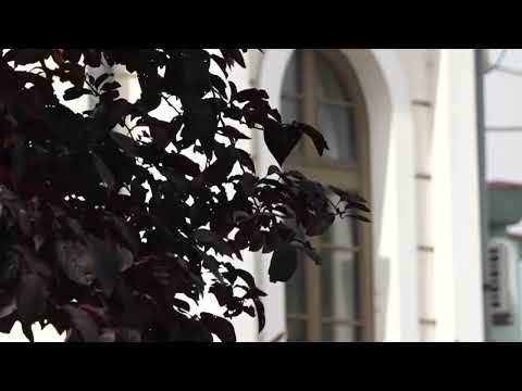 Министар Синиша Мали обишао породицу Весић која је купила стан уз помоћ Програма стамбених кредита за младе