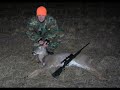 Trail camera deer pictures and video 2007