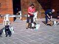 Bull Day Premiazione3