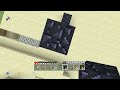 Minecraft video