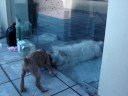 lola & tomy lola & tomy