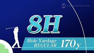 HOLE NO.8