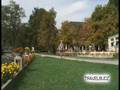 TRAVELBUDZ - Episode 23: St. Gilgen, Austria