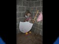 Believers Fellowship Tabernacle Vacaction Bible Shoool 2008