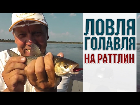 на рыбалку с раттлином. видео на рыбалку с раттлином. видео