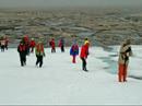 Polarbears and Walruses on Svalbard