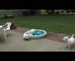 pool games