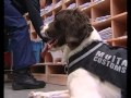 S02E04 Ķepa uz sirds. 24.09.2011