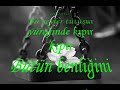 Ander Sevdaluk