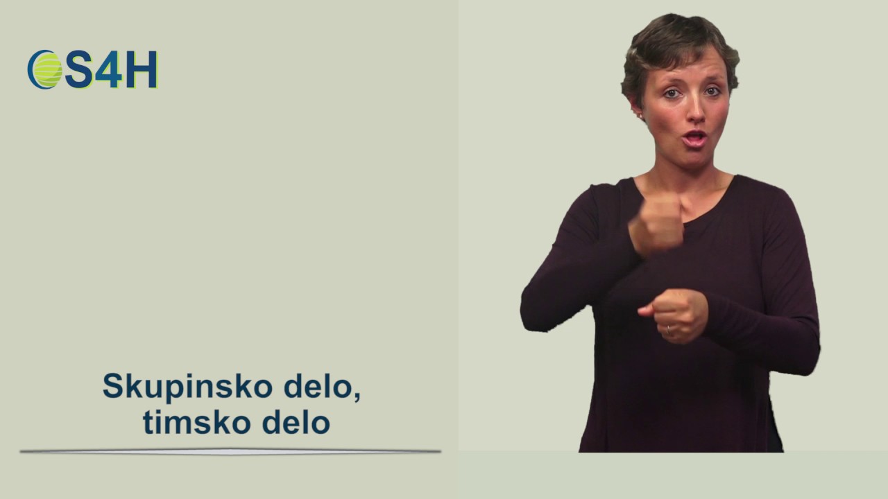 Skupinsko delo, timsko delo