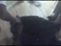 videos de Wrestling-Justin N Big Tom Round