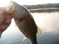 cold weather bass at Castaic Lagoon